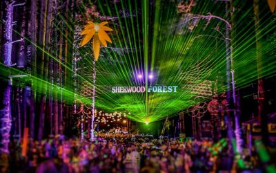 ELECTRIC FOREST 2015: THE FANTASY OF THE FOREST (Via FestPop)